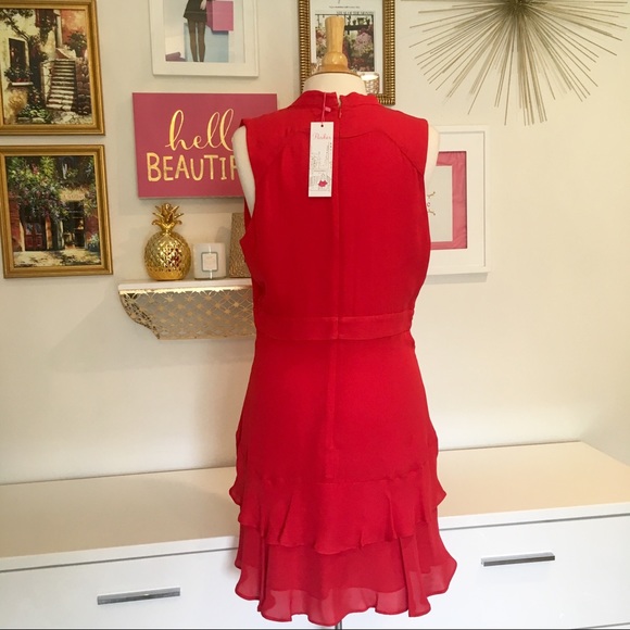 NEW Parker Red Silk Dress Size Large - Picture 6 of 8